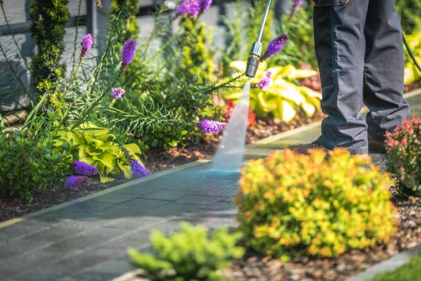 Best Spring Cleaning  in Taylorvle, IL