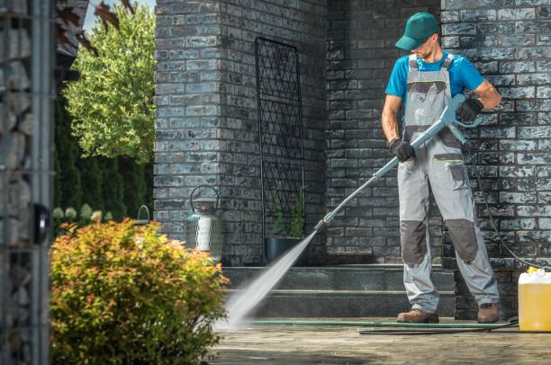 Solar Panel Cleaning in Taylorville, IL