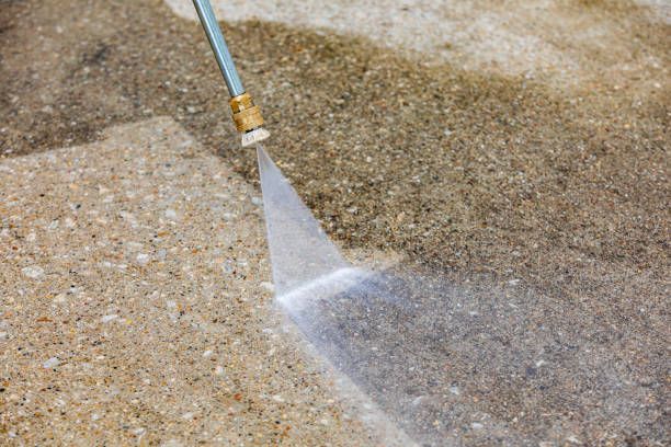 Animal Enclosure Cleaning in Taylorville, IL