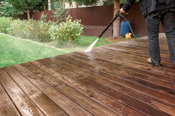 Best Rust Removal  in Taylorvle, IL