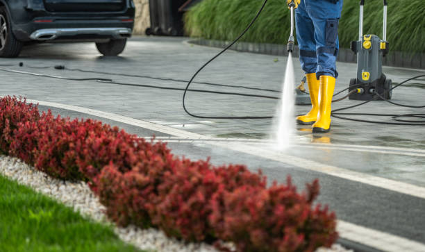 Best Playground Equipment Cleaning  in Taylorvle, IL