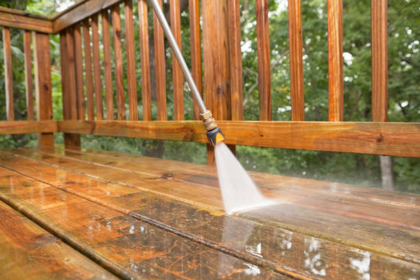 Best Roof Washing  in Taylorvle, IL