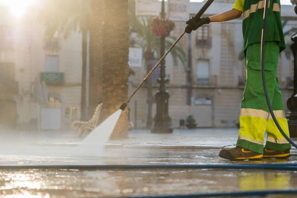 Best Patio and Deck Pressure Washing  in Taylorvle, IL